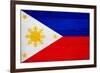 Philippines Flag Design with Wood Patterning - Flags of the World Series-Philippe Hugonnard-Framed Art Print