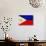 Philippines Flag Design with Wood Patterning - Flags of the World Series-Philippe Hugonnard-Art Print displayed on a wall