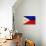 Philippines Flag Design with Wood Patterning - Flags of the World Series-Philippe Hugonnard-Art Print displayed on a wall