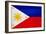 Philippines Flag Design with Wood Patterning - Flags of the World Series-Philippe Hugonnard-Framed Art Print