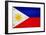 Philippines Flag Design with Wood Patterning - Flags of the World Series-Philippe Hugonnard-Framed Art Print