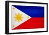 Philippines Flag Design with Wood Patterning - Flags of the World Series-Philippe Hugonnard-Framed Art Print