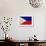 Philippines Flag Design with Wood Patterning - Flags of the World Series-Philippe Hugonnard-Framed Art Print displayed on a wall