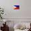 Philippines Flag Design with Wood Patterning - Flags of the World Series-Philippe Hugonnard-Mounted Art Print displayed on a wall