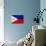 Philippines Flag Design with Wood Patterning - Flags of the World Series-Philippe Hugonnard-Mounted Art Print displayed on a wall
