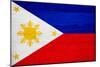 Philippines Flag Design with Wood Patterning - Flags of the World Series-Philippe Hugonnard-Mounted Art Print