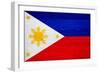 Philippines Flag Design with Wood Patterning - Flags of the World Series-Philippe Hugonnard-Framed Premium Giclee Print