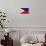 Philippines Flag Design with Wood Patterning - Flags of the World Series-Philippe Hugonnard-Mounted Premium Giclee Print displayed on a wall