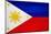 Philippines Flag Design with Wood Patterning - Flags of the World Series-Philippe Hugonnard-Mounted Premium Giclee Print