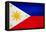 Philippines Flag Design with Wood Patterning - Flags of the World Series-Philippe Hugonnard-Framed Stretched Canvas