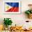 Philippines Flag-daboost-Framed Art Print displayed on a wall