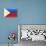 Philippines National Flag Poster Print-null-Poster displayed on a wall