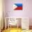 Philippines National Flag-null-Art Print displayed on a wall