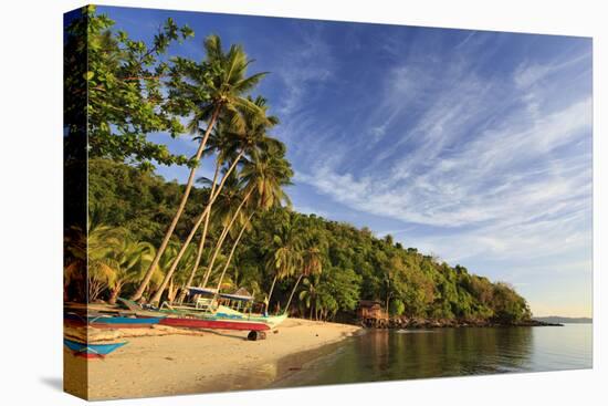 Philippines, Palawan, Port Barton, Albaguen Island-Michele Falzone-Stretched Canvas