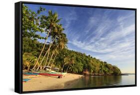 Philippines, Palawan, Port Barton, Albaguen Island-Michele Falzone-Framed Stretched Canvas