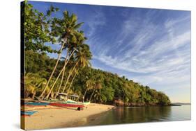 Philippines, Palawan, Port Barton, Albaguen Island-Michele Falzone-Stretched Canvas