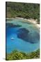 Philippines, Palawan, Port Barton, Turtle Bay-Michele Falzone-Stretched Canvas