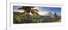 Philippines, Southeastern Luzon, Bicol, Mayon Volcano-Michele Falzone-Framed Premium Photographic Print