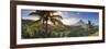 Philippines, Southeastern Luzon, Bicol, Mayon Volcano-Michele Falzone-Framed Premium Photographic Print