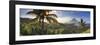 Philippines, Southeastern Luzon, Bicol, Mayon Volcano-Michele Falzone-Framed Photographic Print