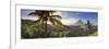 Philippines, Southeastern Luzon, Bicol, Mayon Volcano-Michele Falzone-Framed Photographic Print