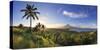 Philippines, Southeastern Luzon, Bicol, Mayon Volcano-Michele Falzone-Stretched Canvas