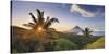 Philippines, Southeastern Luzon, Bicol, Mayon Volcano-Michele Falzone-Stretched Canvas