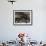 Philippino Housekeepers Gathering Together on Sundays at Hsbc Bank Hall, Hong Kong, China-Sergio Pitamitz-Framed Photographic Print displayed on a wall