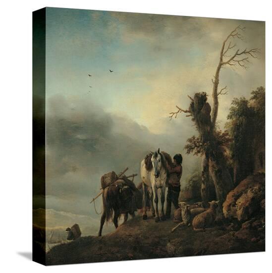 Stretched Canvas Print, , large