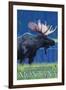Philipsburg, Montana - Moonlight Moose-Lantern Press-Framed Art Print