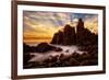 phillip-island-1-Lincoln Harrison-Framed Photo