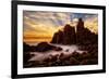 phillip-island-1-Lincoln Harrison-Framed Photo