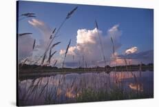 Midsummer Reflections-Phillip Mueller-Stretched Canvas