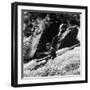 Phillipe Martin Balancing with His Paddle-Lisa Larsen-Framed Photographic Print