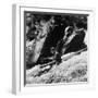 Phillipe Martin Balancing with His Paddle-Lisa Larsen-Framed Photographic Print