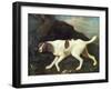 Phillis, a Pointer of Lord Clermont's, 1772-George Stubbs-Framed Giclee Print