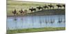 Philmont Cavalcade Ride Along Pond with Reflection, Cimarron, New Mexico-Maresa Pryor-Mounted Photographic Print