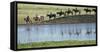 Philmont Cavalcade Ride Along Pond with Reflection, Cimarron, New Mexico-Maresa Pryor-Framed Stretched Canvas