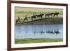 Philmont Cavalcade Ride Along Pond with Reflection, Cimarron, New Mexico-Maresa Pryor-Framed Photographic Print