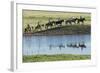 Philmont Cavalcade Ride Along Pond with Reflection, Cimarron, New Mexico-Maresa Pryor-Framed Photographic Print