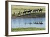 Philmont Cavalcade Ride Along Pond with Reflection, Cimarron, New Mexico-Maresa Pryor-Framed Photographic Print