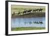 Philmont Cavalcade Ride Along Pond with Reflection, Cimarron, New Mexico-Maresa Pryor-Framed Photographic Print