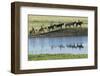 Philmont Cavalcade Ride Along Pond with Reflection, Cimarron, New Mexico-Maresa Pryor-Framed Photographic Print