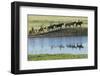 Philmont Cavalcade Ride Along Pond with Reflection, Cimarron, New Mexico-Maresa Pryor-Framed Photographic Print