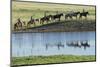 Philmont Cavalcade Ride Along Pond with Reflection, Cimarron, New Mexico-Maresa Pryor-Mounted Photographic Print