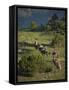 Philmont Cavalcades Ride Horses Through the Rugged Mountain Wilderness, Cimarron, New Mexico-Maresa Pryor-Framed Stretched Canvas