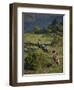 Philmont Cavalcades Ride Horses Through the Rugged Mountain Wilderness, Cimarron, New Mexico-Maresa Pryor-Framed Photographic Print