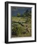Philmont Cavalcades Ride Horses Through the Rugged Mountain Wilderness, Cimarron, New Mexico-Maresa Pryor-Framed Photographic Print