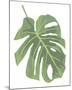 Philodendron 2-Jenny Kraft-Mounted Art Print