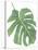 Philodendron 2-Jenny Kraft-Stretched Canvas